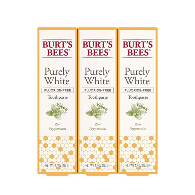 Burt's Bees Toothpaste