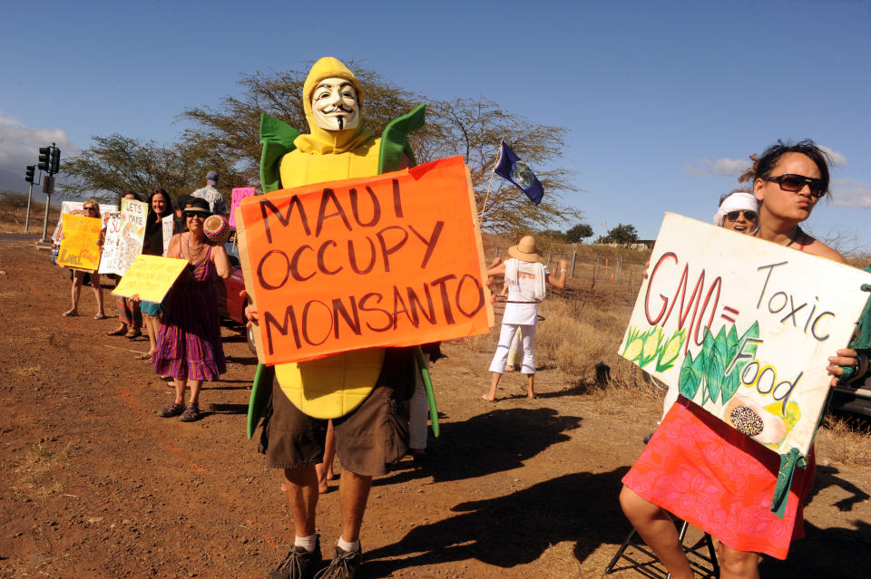 A protest against Monsanto 