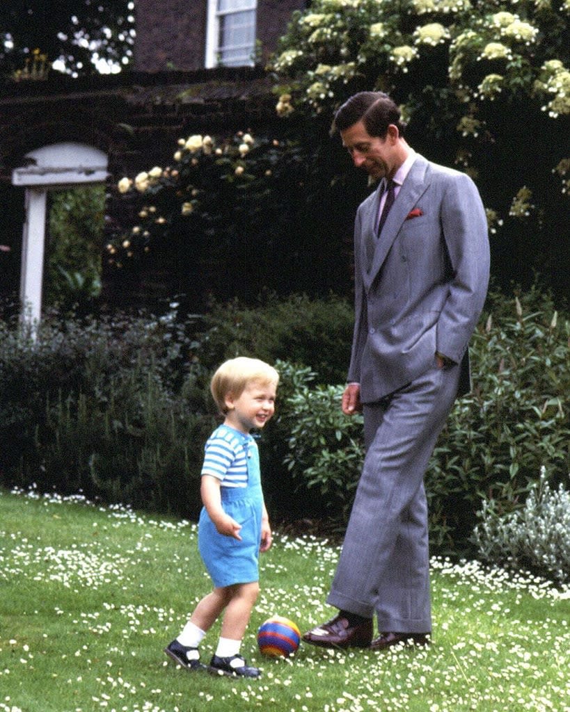 <p>King Charles III & Prince William</p>