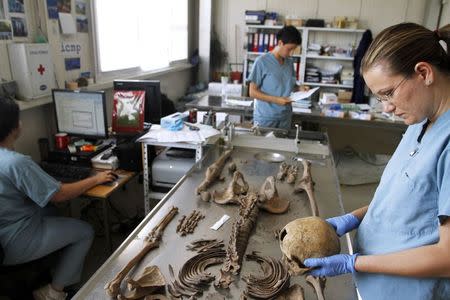 Forensic experts of the International Commission for Missing Persons (ICMP) work on trying to identify the remains of a victim of the Srebrenica massacre, in the ICMP centre near Tuzla in this June 1, 2011 file photo. REUTERS/Dado Ruvic