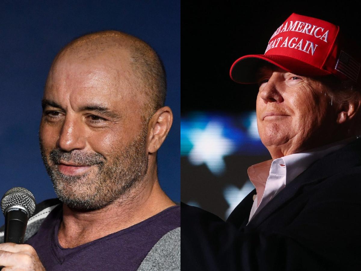 Joe Rogan said 'the morons had a king' with Donald Trump during a