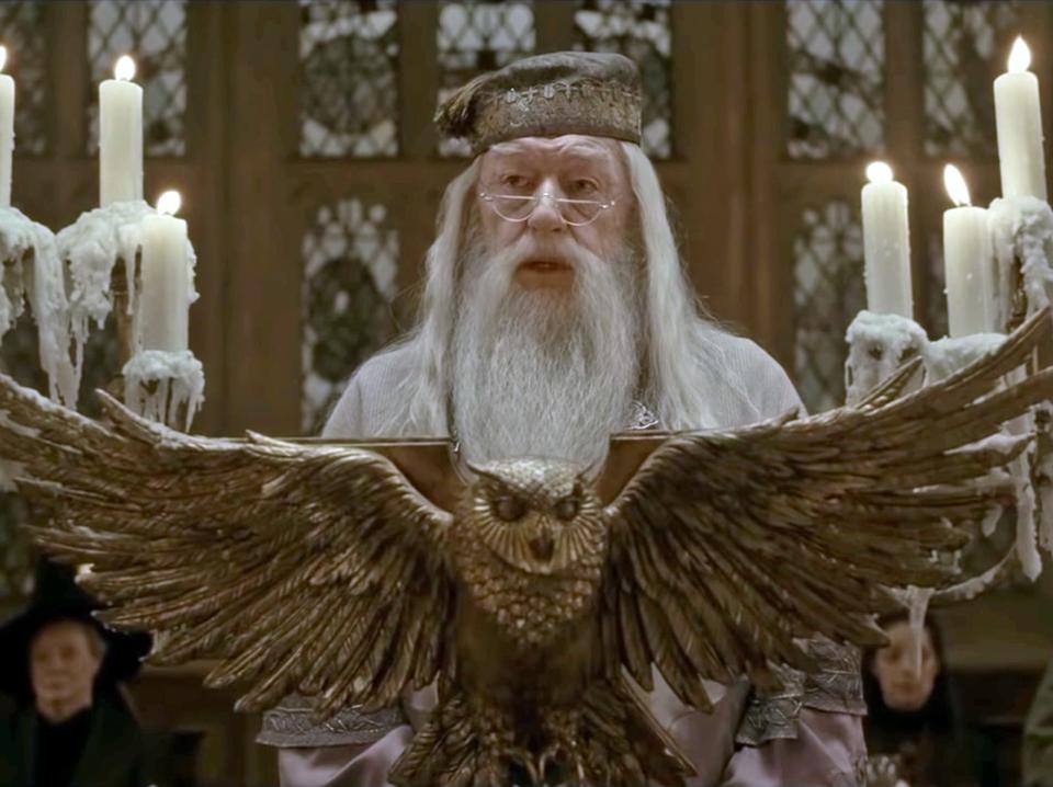 dumbledore giving speech in the great hall harry potter