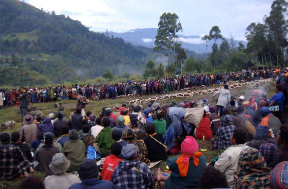 Around 1850, Enga leaders established a compensation system to quash postwar violence. In a large, public ceremony (shown here), individuals handed over live pigs and other valuables to their enemies as compensation for deaths.