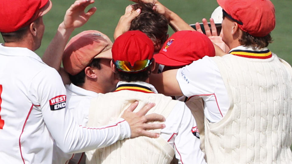 Redbacks players, pictured here celebrating the dismissal of Joe Burns.