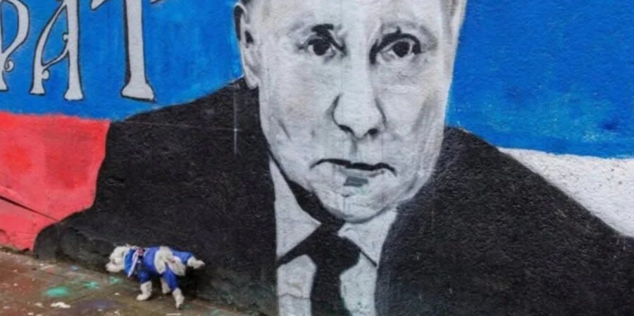 A dog urinates on a wall with a picture of Putin. Serbia, April 2, 2022