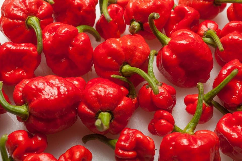 #13 Stinger Scorpion Pepper Sauce: 2 million Scoville units