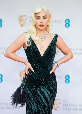 <p>Samir Hussein/WireImage</p> Lady Gaga