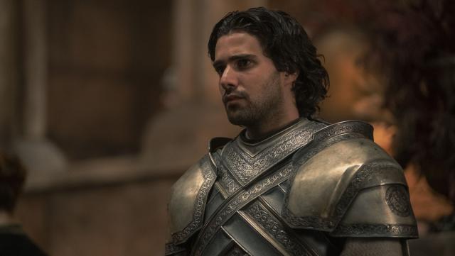 Game of Thrones prequel casts twin Kingsguard brothers
