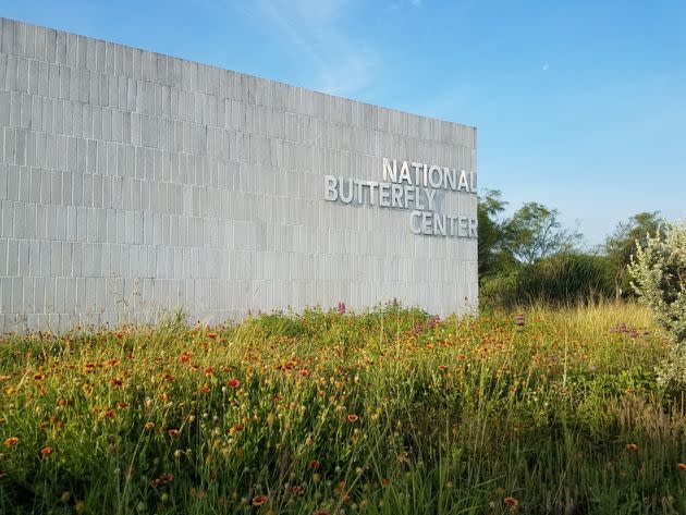 The National Butterfly Center has shut its doors to the public after a series of bizarre attacks from anti-immigration extremists. (Photo: Courtesy of the National Butterfly Center)