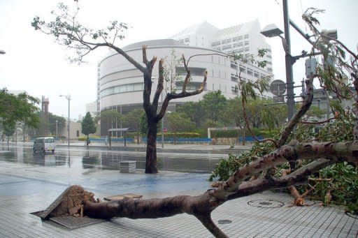 An uprooted tree lies on the pavemen as typhoon Man-Yi closes in on Naha city, in Okinawa in 2007. Typhoon Bolaven, packing winds of up to 252 kilometres (157 miles) per hour, was some 90 kilometres east of Okinawa's capital Naha on Sunday, slowly moving north-northwest, the Japan Meteorological Agency said