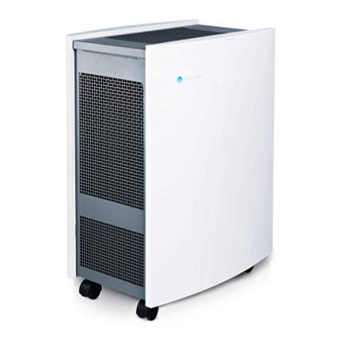 Blueair Classic 605 Air Purifier (Amazon / Amazon)