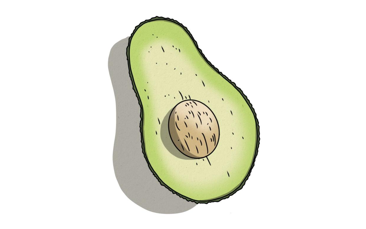 Avocado