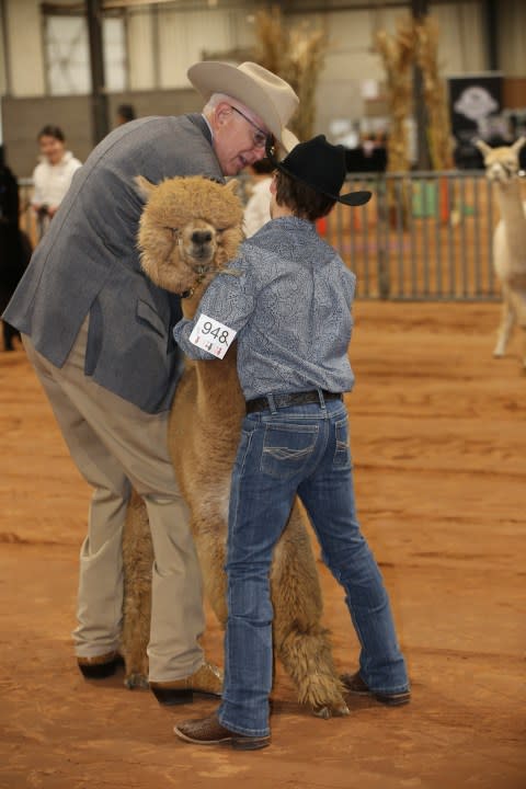 Alpaca Blast-Off. 