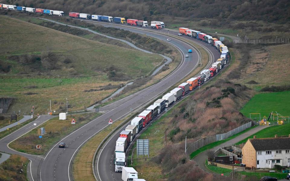 The queues at Dover were seen as a worrying portent of what a no-deal Brexit could have looked like - JUSTIN TALLIS /AFP