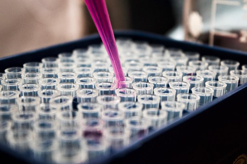 12 Cheap Biotech Stocks To Buy