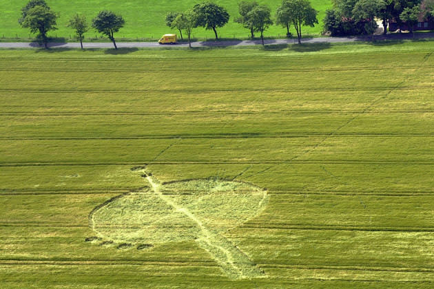 Kreisförmige Figur in einem Feld bei Stralsund, entstanden im Jahr 2000. (Bild: ddp)