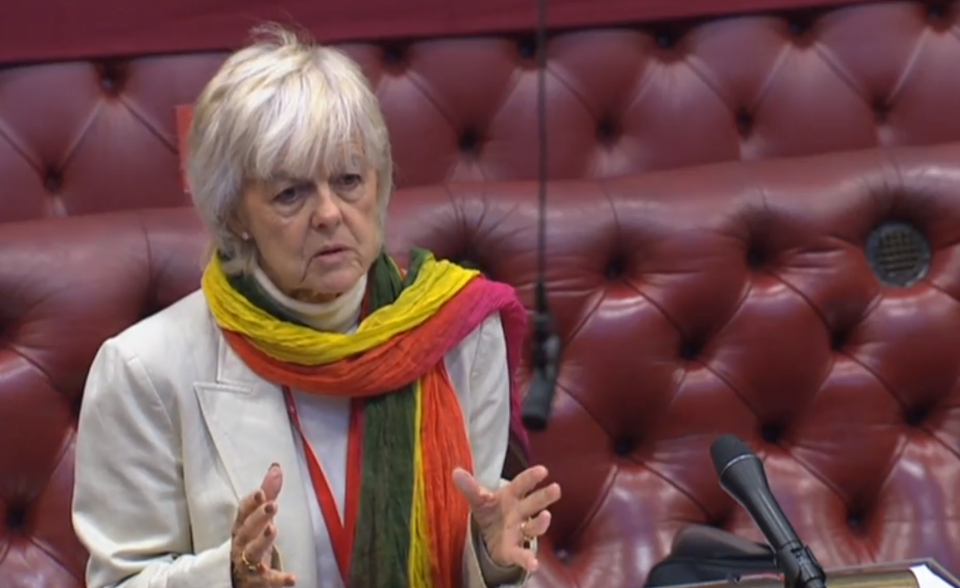 Labour’s Baroness Hayter of Kentish Town addresses the House of Lords (PA)