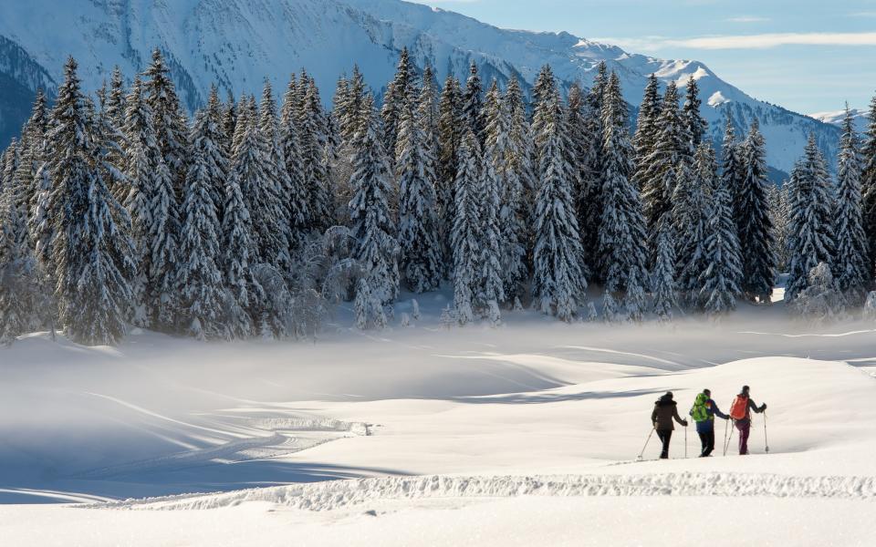 Seefeld has 142 kilometers of cleared winter hiking trails and 35 kilometers of snowshoe routes