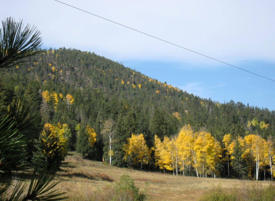 This Oct. 3, 2012 photo shows fall color along the 85-mile loop in Northern New Mexico known as the Enchanted Circle. Visitors can head out from Taos and take in scenery from Kit Carson National Forest, the Sangre de Cristo mountain range and the Moreno Valley, along with towns like Questa, Red River, Angel Fire and Eagle Nest. The region’s aspen trees turn golden for about two weeks, and while the timing can vary, the color usually peaks around the end of September or first week in October. (AP Photo/Beth J. Harpaz)