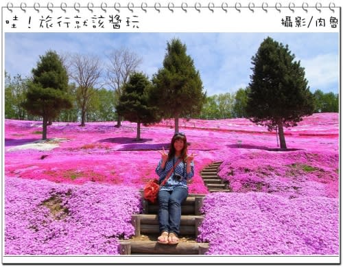 東藻琴芝櫻公園怒放超級滿開 撲天蓋地席捲而來的粉紅浪漫櫻花雪 一生一定要來朝聖一次的日本秘境