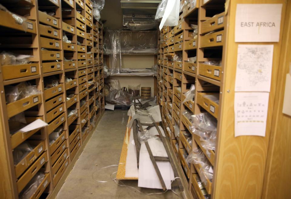 The East Africa section of artifacts is seen in the basement of the Milwaukee Public Museum, 800 W. Wells St., on May 20, 2015.