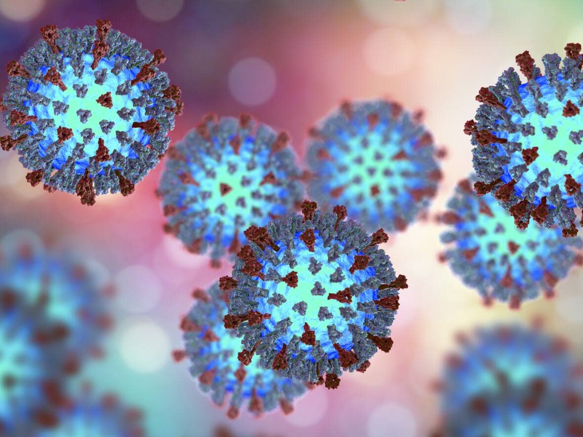 A 3D illustration shows the structure of the measles virus. The highly contagious disease has surged recently in Europe and Canadian health officials have been bracing for its arrival here. (Shutterstock - image credit)