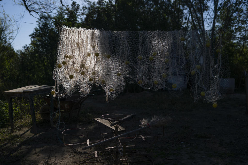 A fishing net hangs to dry in a fishing village on Espinillo Island, on the other side of the Parana River from Rosario, Argentina, Thursday, July 29, 2021. The falling water levels of the Parana River have affected cattle ranching nears its shores, commercial fishing, transportation and the supply of potable water for the region. (AP Photo/Victor Caivano)