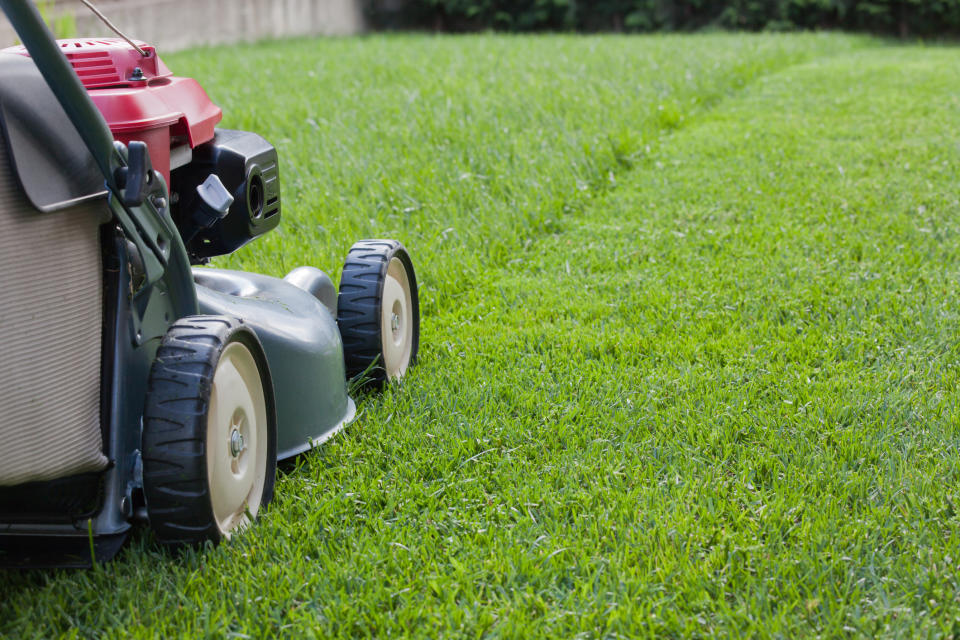 A lawn mower cutting a well-maintained grassy lawn with a visible path of freshly cut grass