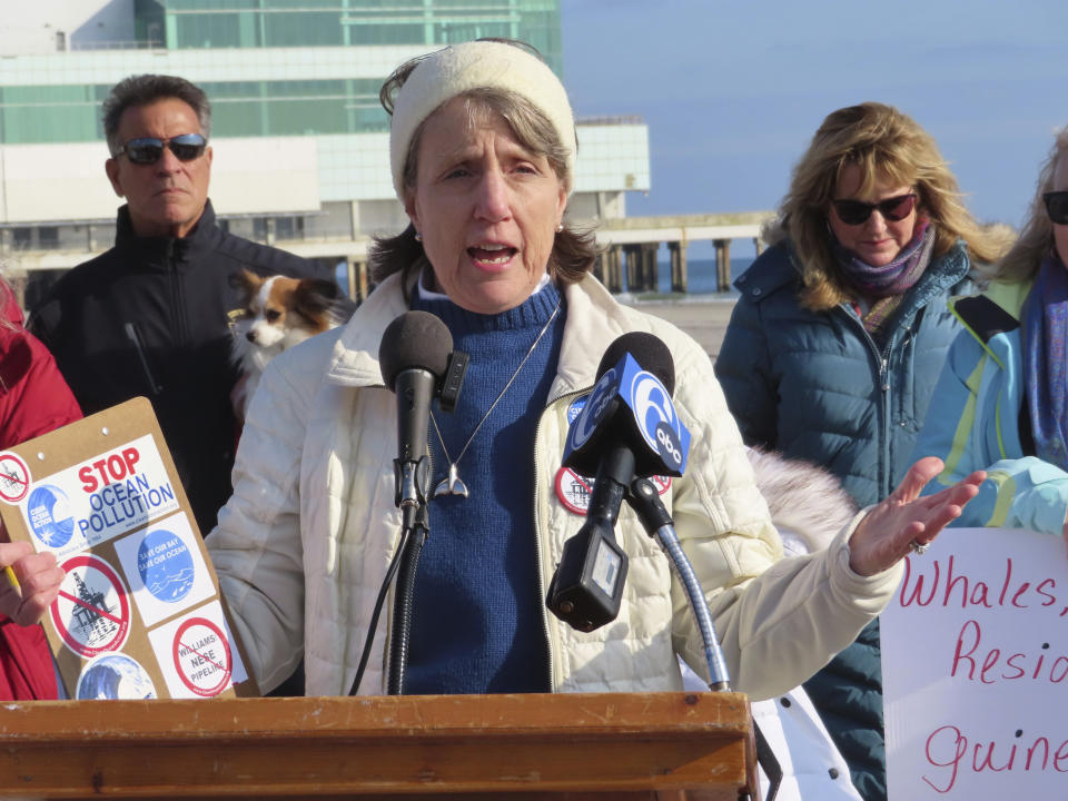 Cindy Zipf, executive director of the Clean Ocean Action environmental group, speaks at a press conference on the beach in Atlantic City, N.J., on Monday, Jan. 9, 2023, where a large dead whale was buried over the weekend. Several groups called for a federal investigation into the deaths of six whales that have washed ashore in New Jersey and New York over the past 33 days and whether the deaths were related to site preparation work for the offshore wind industry. (AP Photo/Wayne Parry)