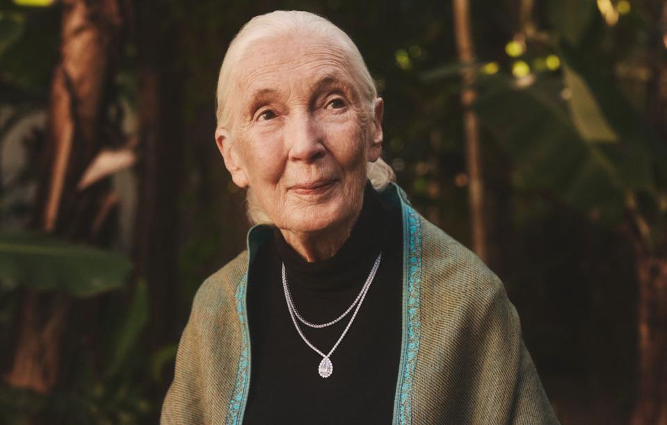 <p>Brilliant Earth</p> Trailblazing conservationist Jane Goodall wears her new jewelry collaboration with Brilliant Earth. 