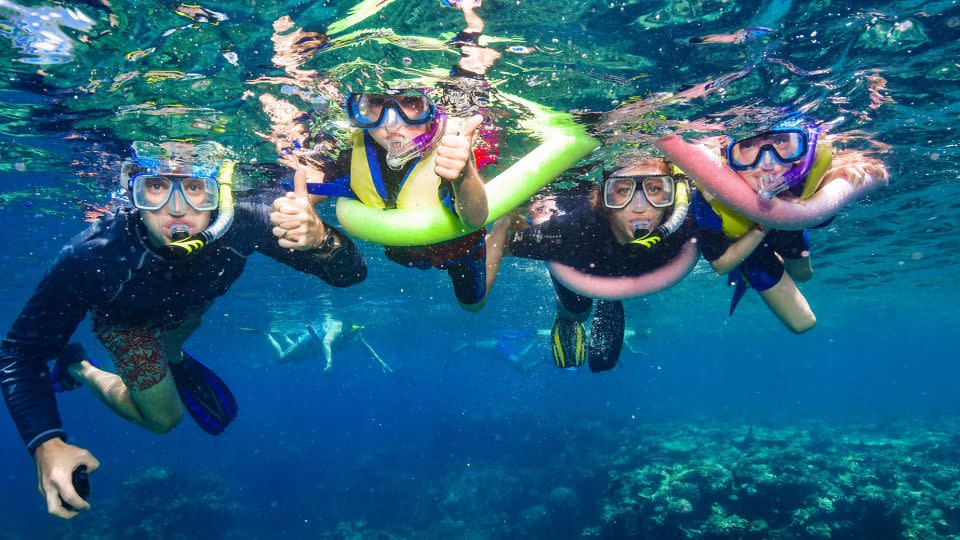 The family snorkeling together in the Great Barrier Reef, Australia. - Margaret Bensfield Sullivan
