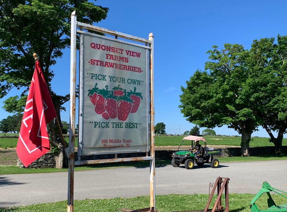 Mike Flynn is hard at work at Quonset View Farm in Portsmouth on June 10, 2022.