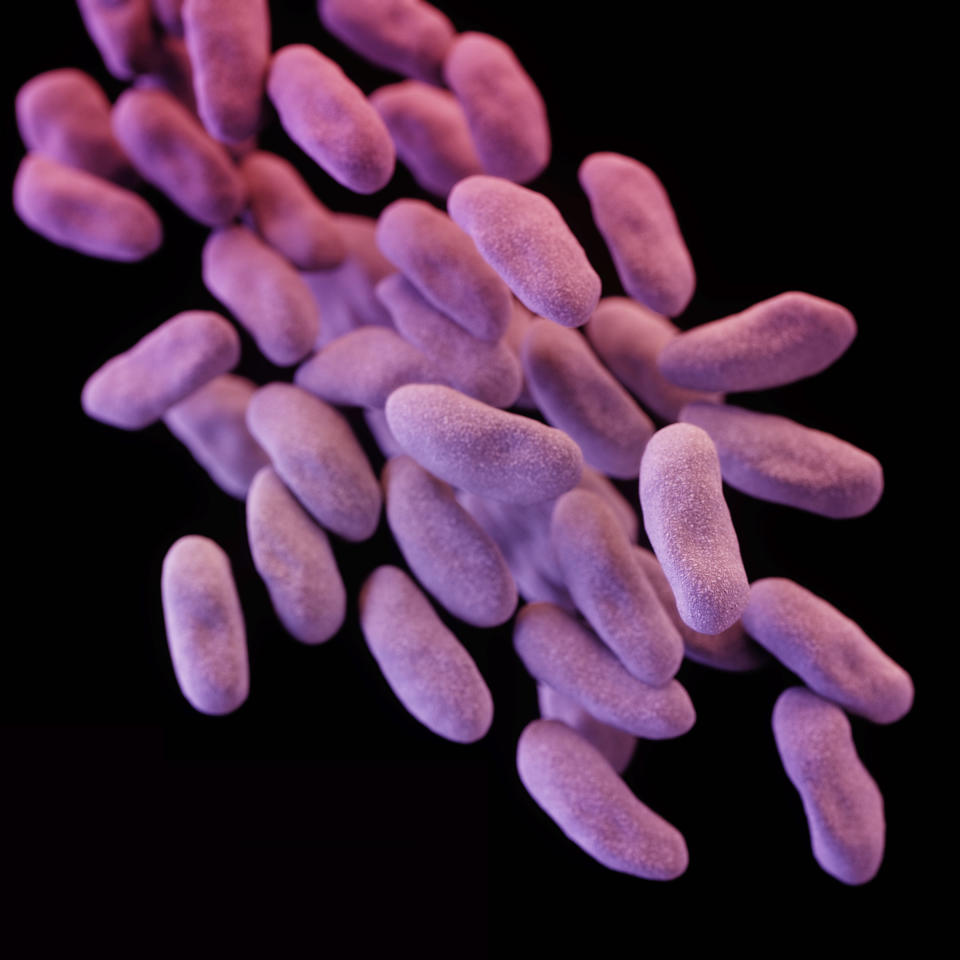 Imagen tridimensional de Carbapenem-resistant Enterobacteriaceae, unas superbacterias resistentes a los antibióticos.(Foto AP/Centros para el Control de Enfermedades)
