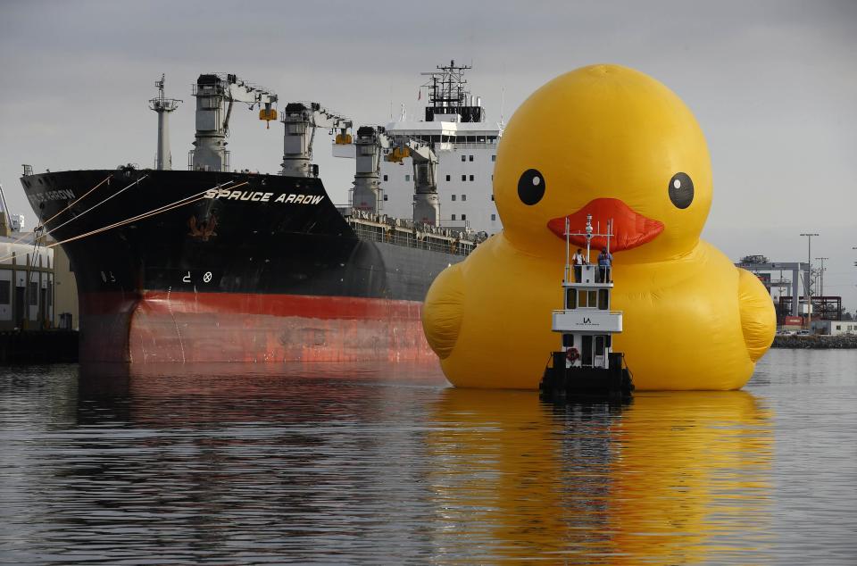 A giant inflatable rubber duck installation by Dutch artist Florentijn Hofman floats through the Port of Los Angeles as part of the Tall Ships Festival, in San Pedro, California August 20, 2014. The creation, which is five stories tall and five stories wide, has been seen floating in various cities around the world since 2007. (REUTERS/Lucy Nicholson)