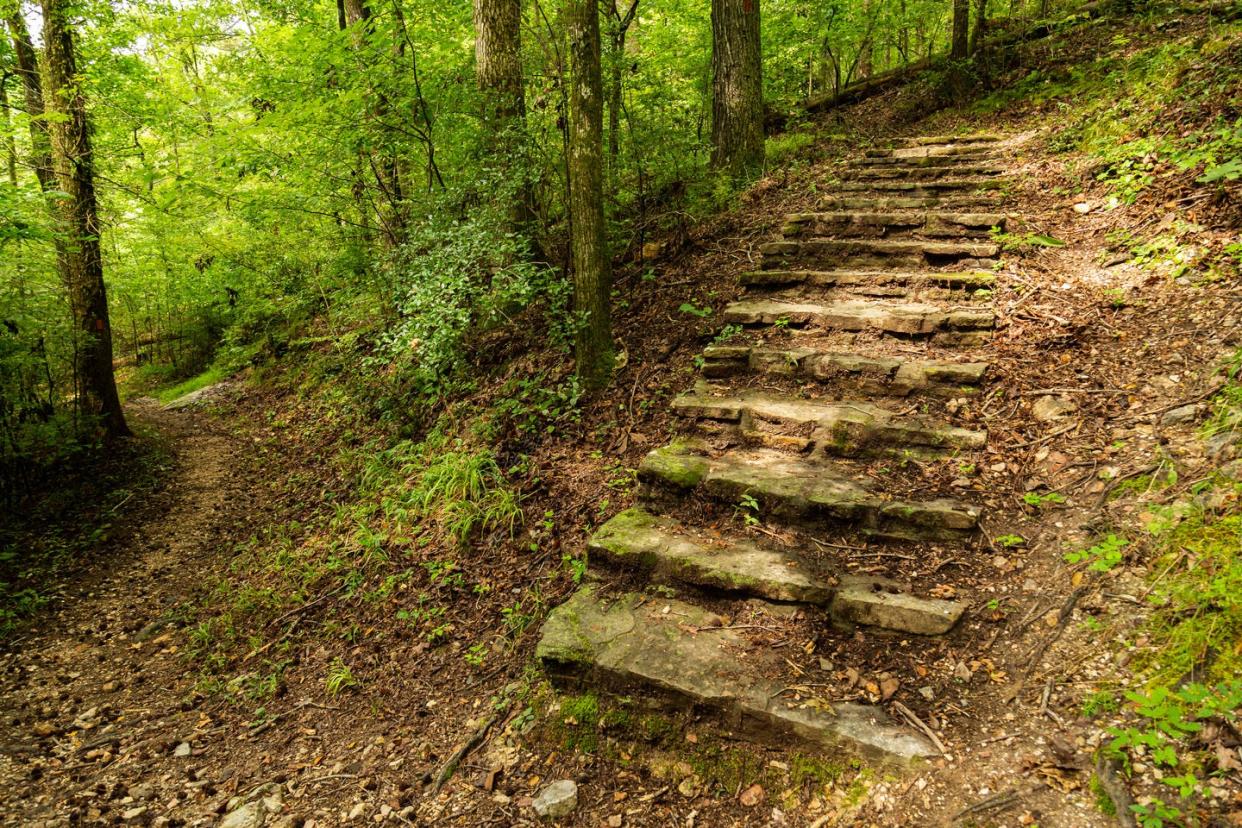 Stone steps are seen along one of the many trails at Hot Springs National Park.