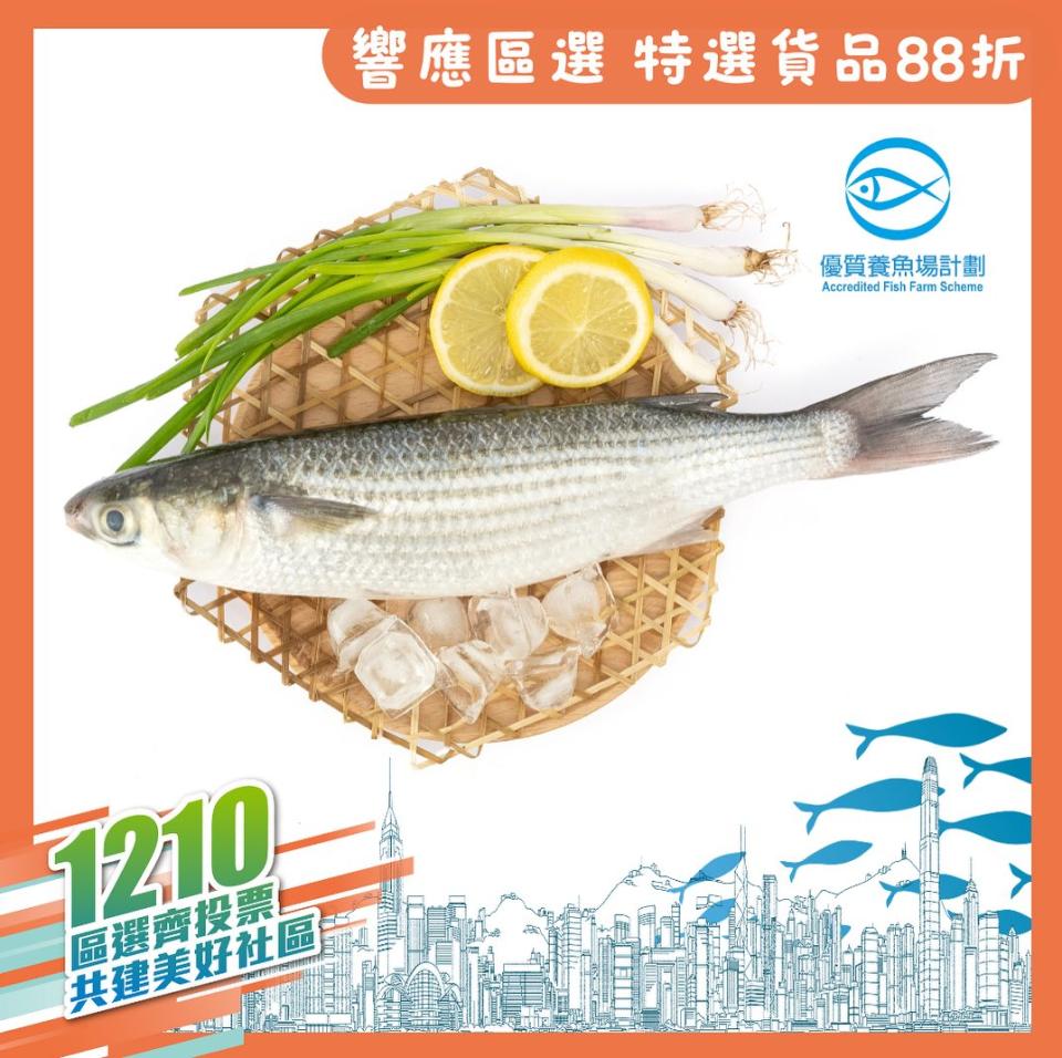 魚統處優惠產品包括多款本地魚類，例如烏頭。    （魚統處 facebook 專頁）