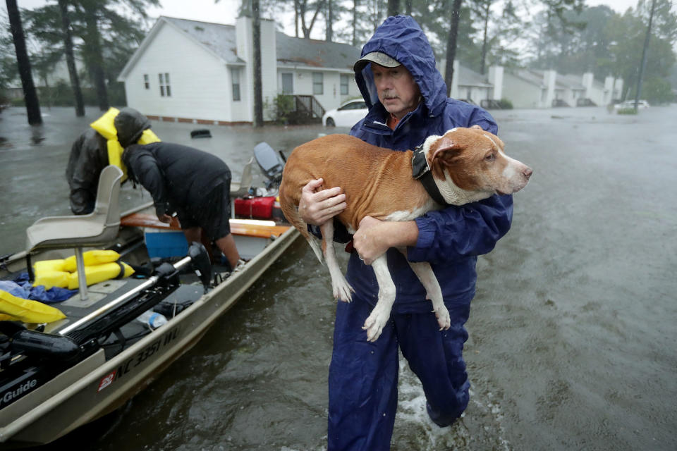 Saving pets after Hurricane Florence