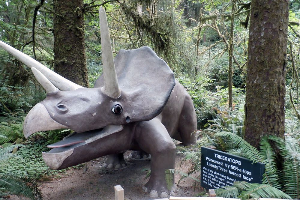 Prehistoric Gardens, Oregon