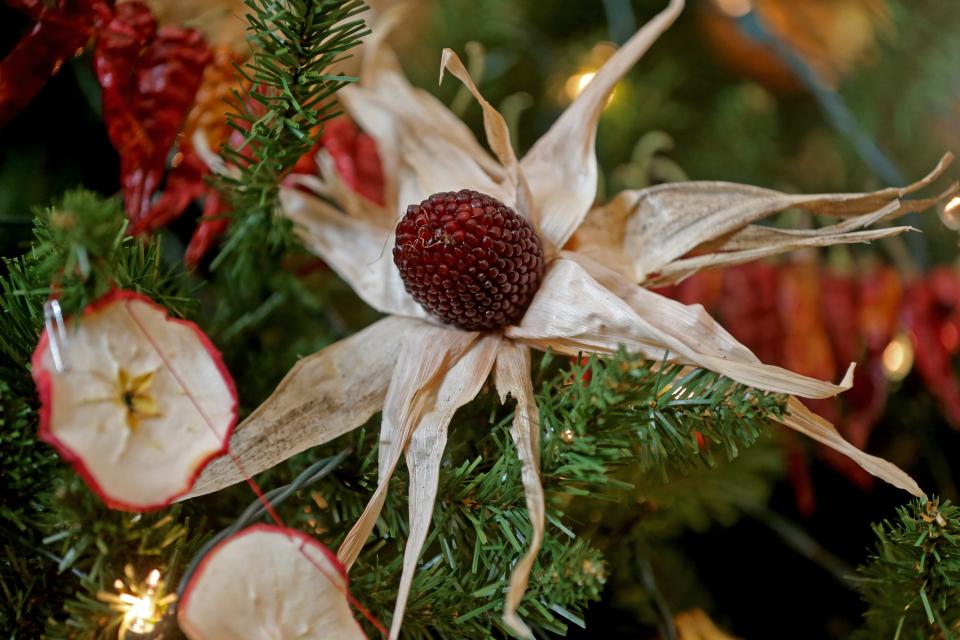 Strawberry popcorn becomes an ornament, along with dried apples, on the winter tree at Sisters of St. Francis of Assisi.