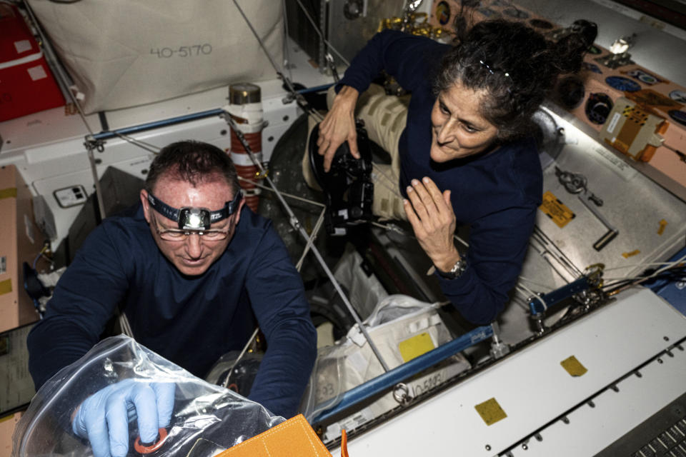 In this photo provided by NASA, astronauts Butch Wilmore, left, and Suni Williams inspect safety hardware aboard the International Space Station on Aug. 9, 2024. (NASA via AP)