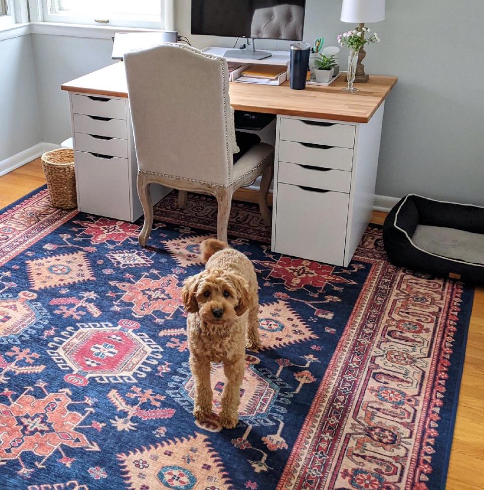 Don’t forget about your dog when designing an office space in your home.