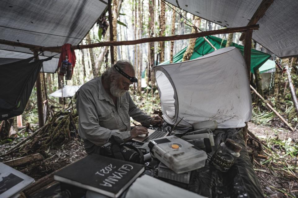 Bruce Means at  Sloth Camp - Guyana on expedition to Upper Paikwa River Basin near Guyana’s northwestern frontier with Brazil and Venezuela to look for new species of amphibians and reptiles in one of the world’s richest and least explored hotspots of biodiversity.