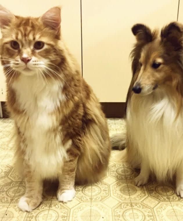 Omar is now bigger than his puppy-dog siblings. Photo: Instagram