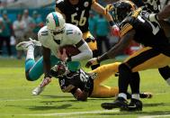 <p>DeVante Parker #11 of the Miami Dolphins rushes after a catch during a game against the Pittsburgh Steelers on October 16, 2016 in Miami Gardens, Florida. (Photo by Mike Ehrmann/Getty Images) </p>