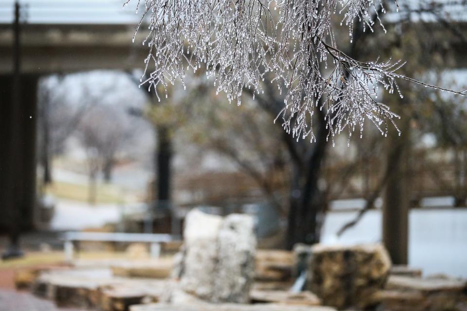 Hoarfrost covers vegetation along the Concho River Wednesday, Feb. 21, 2018, in San Angelo. 
