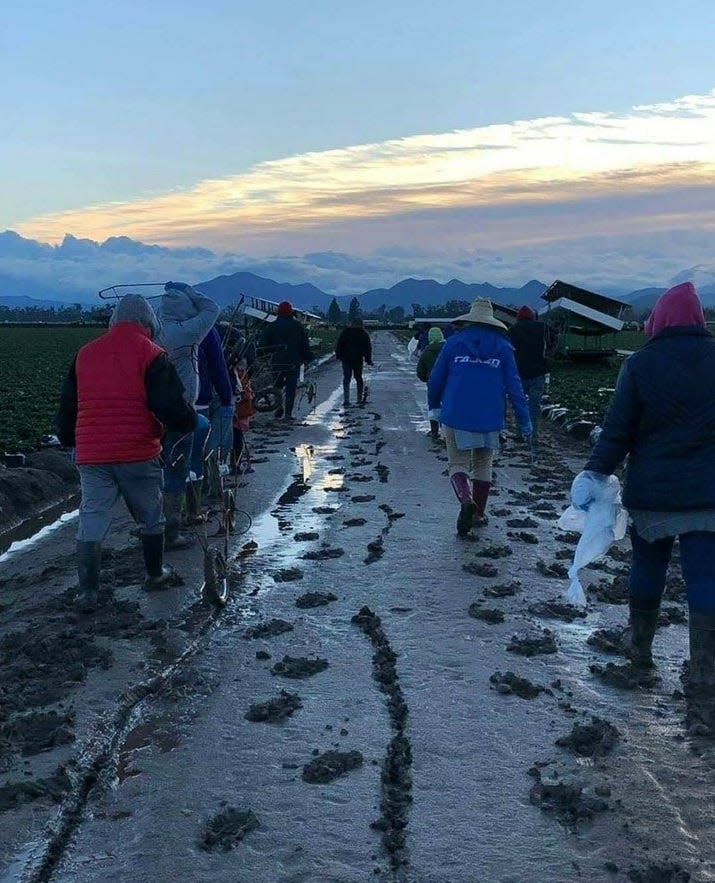 For farm laborers who can find work after the storms, conditions are muddy and cold.