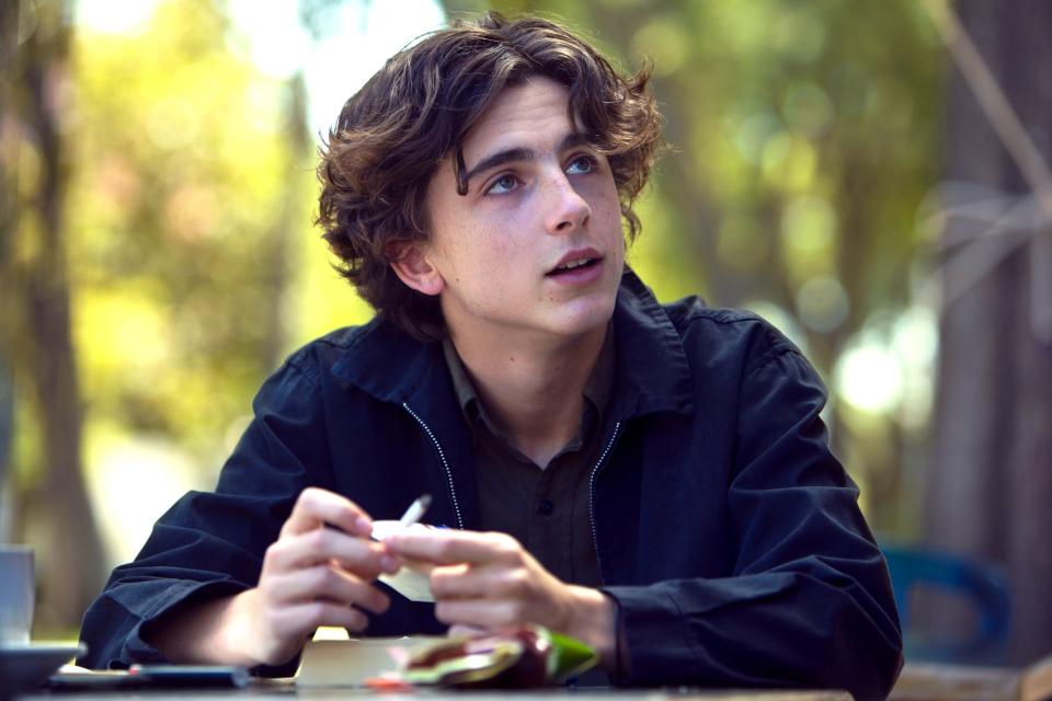 Timothée Chalamet as Kyle in Lady Bird