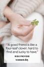 <p>“A good friend is like a four-leaf clover; hard to find and lucky to have.”</p>