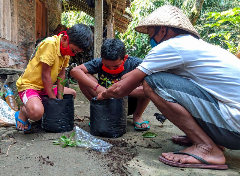 Pupils and their father plant chilies in Magelang
