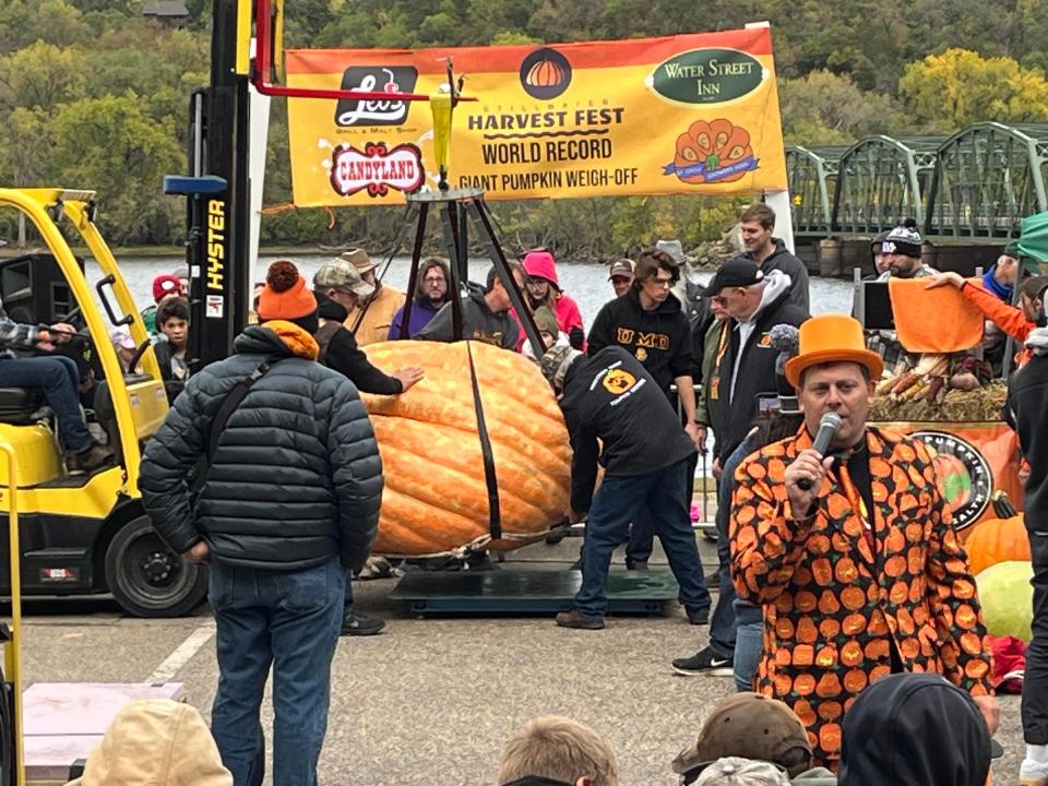 Tom Montsma's giant pumpkin is lifted onto a scale at the Stillwater Harvest Fest in Stillwater, Minn., where it took third place in the giant pumpkin weigh-off.